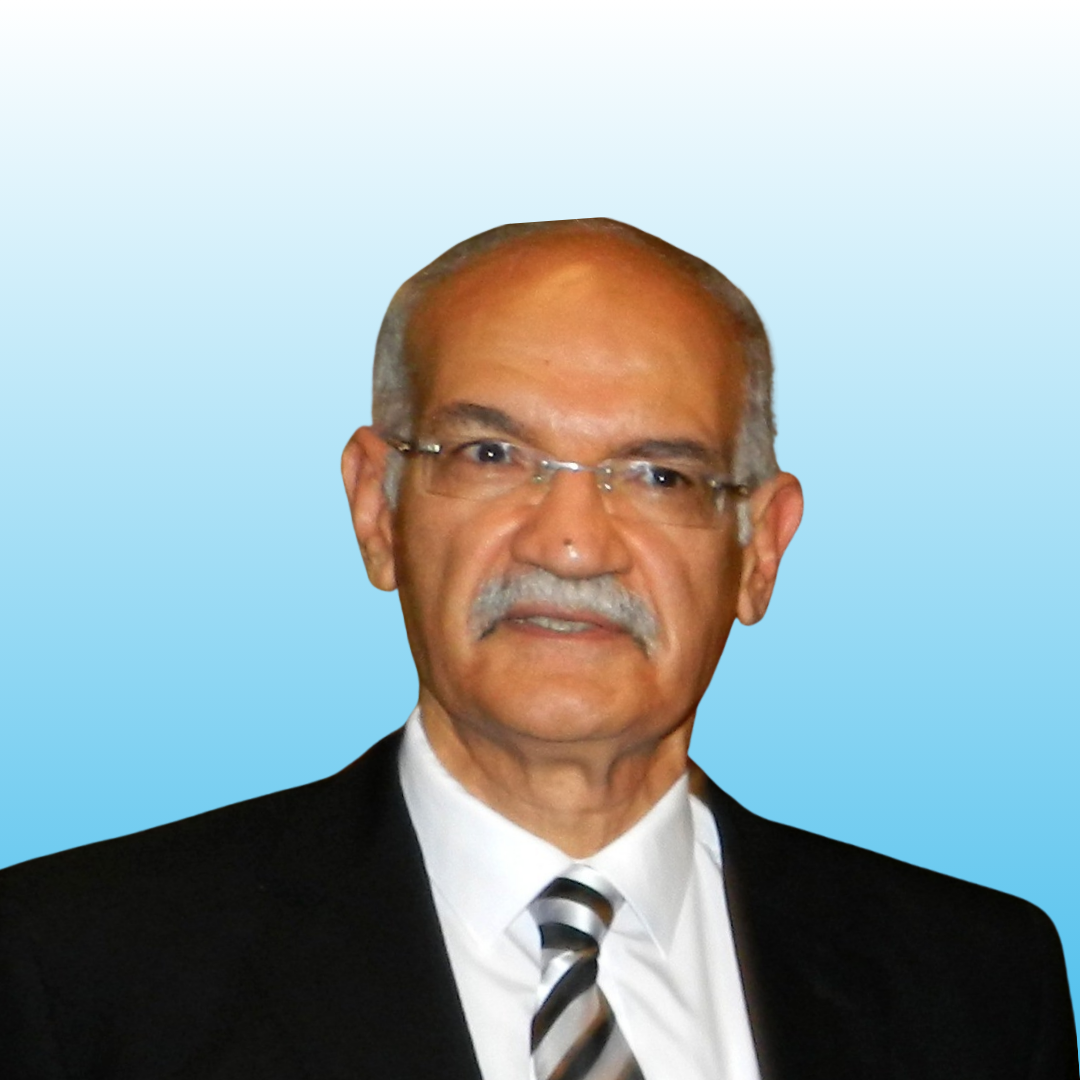 Professor Gamal Hosny