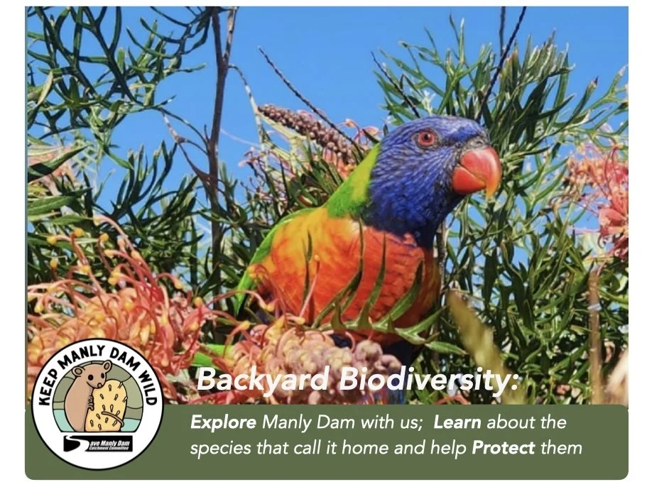 Backyard Biodiversity with Juan 