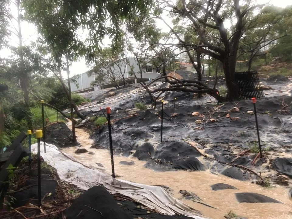 A muddy, flooded yard with blackened ground and debris, surrounded by trees and a damaged fence.