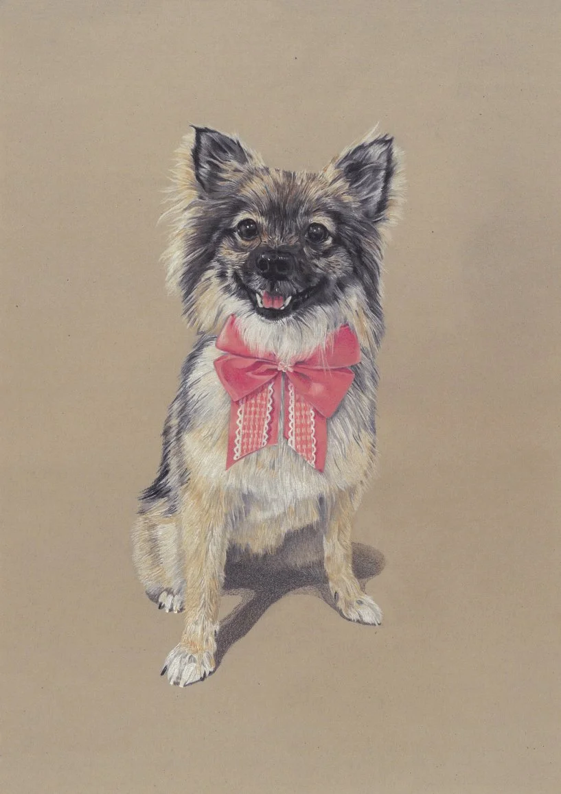 Penny, pastel pencil portrait, 2026