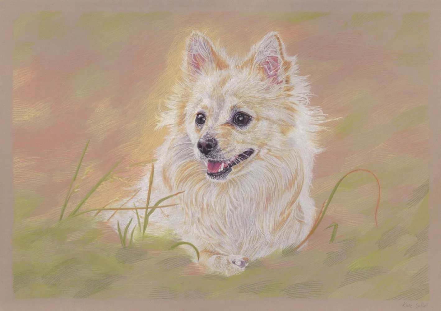 Nala, 2024