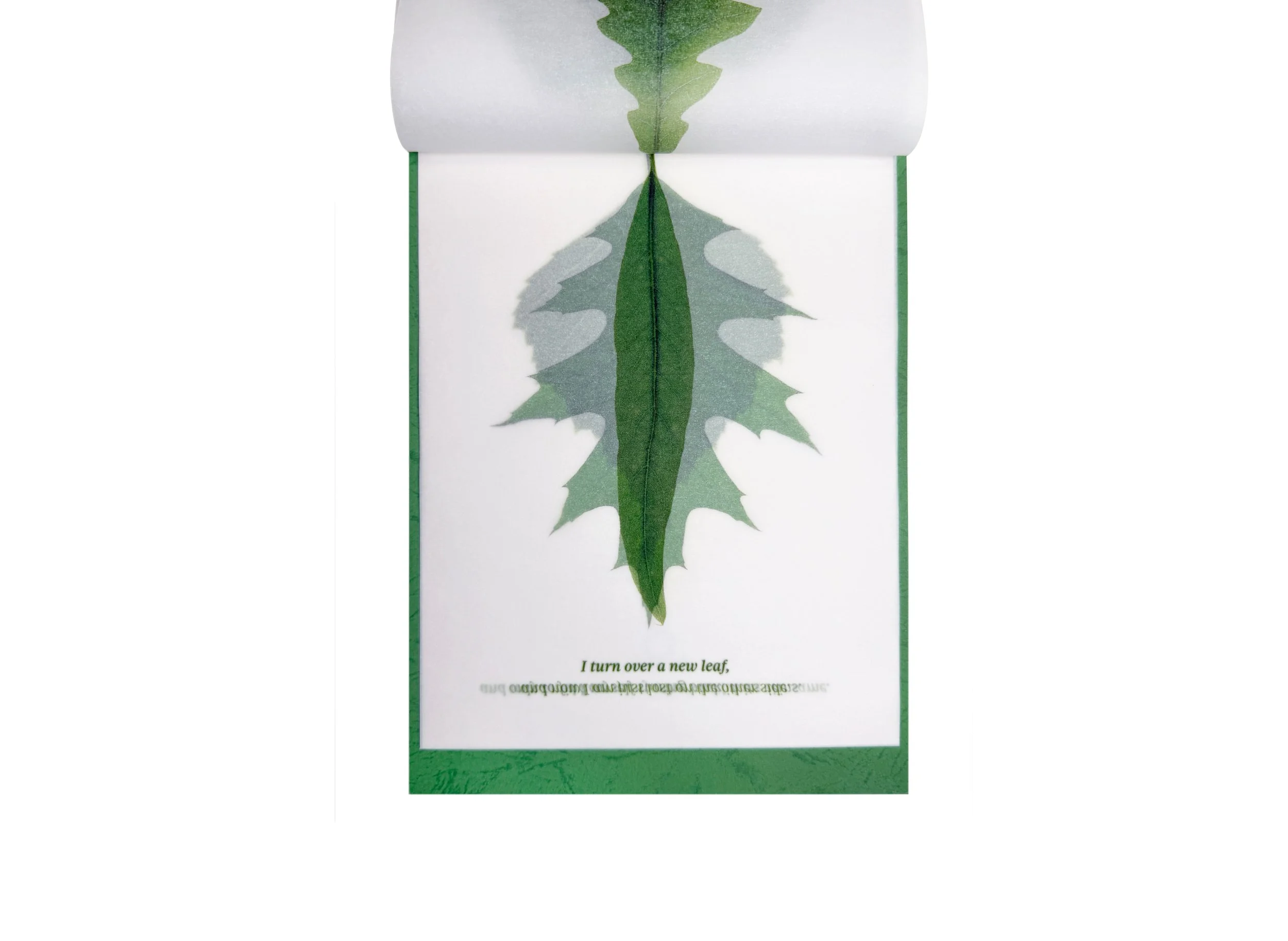 I turn over a new leaf_05.jpg