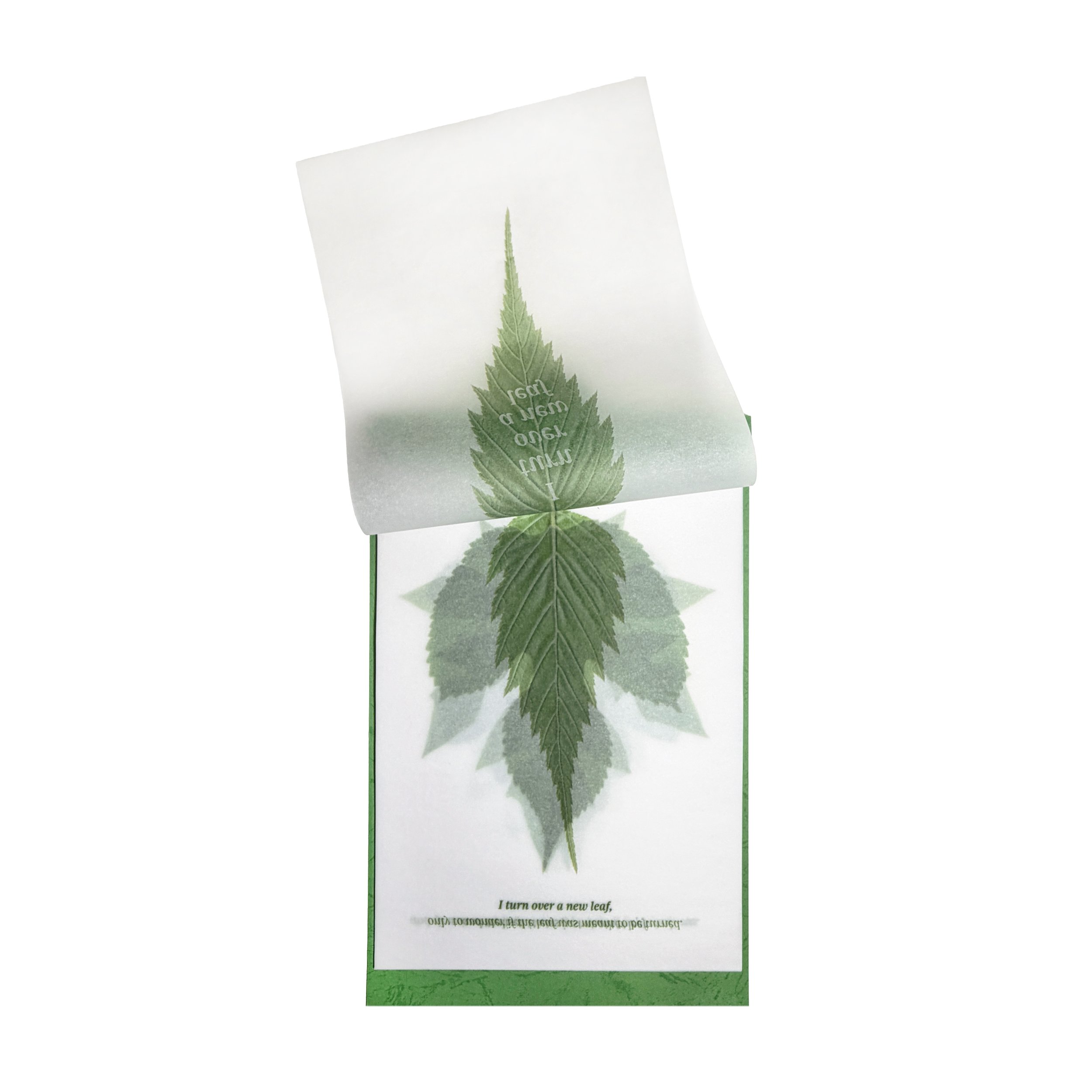 I turn over a new leaf_02.jpg