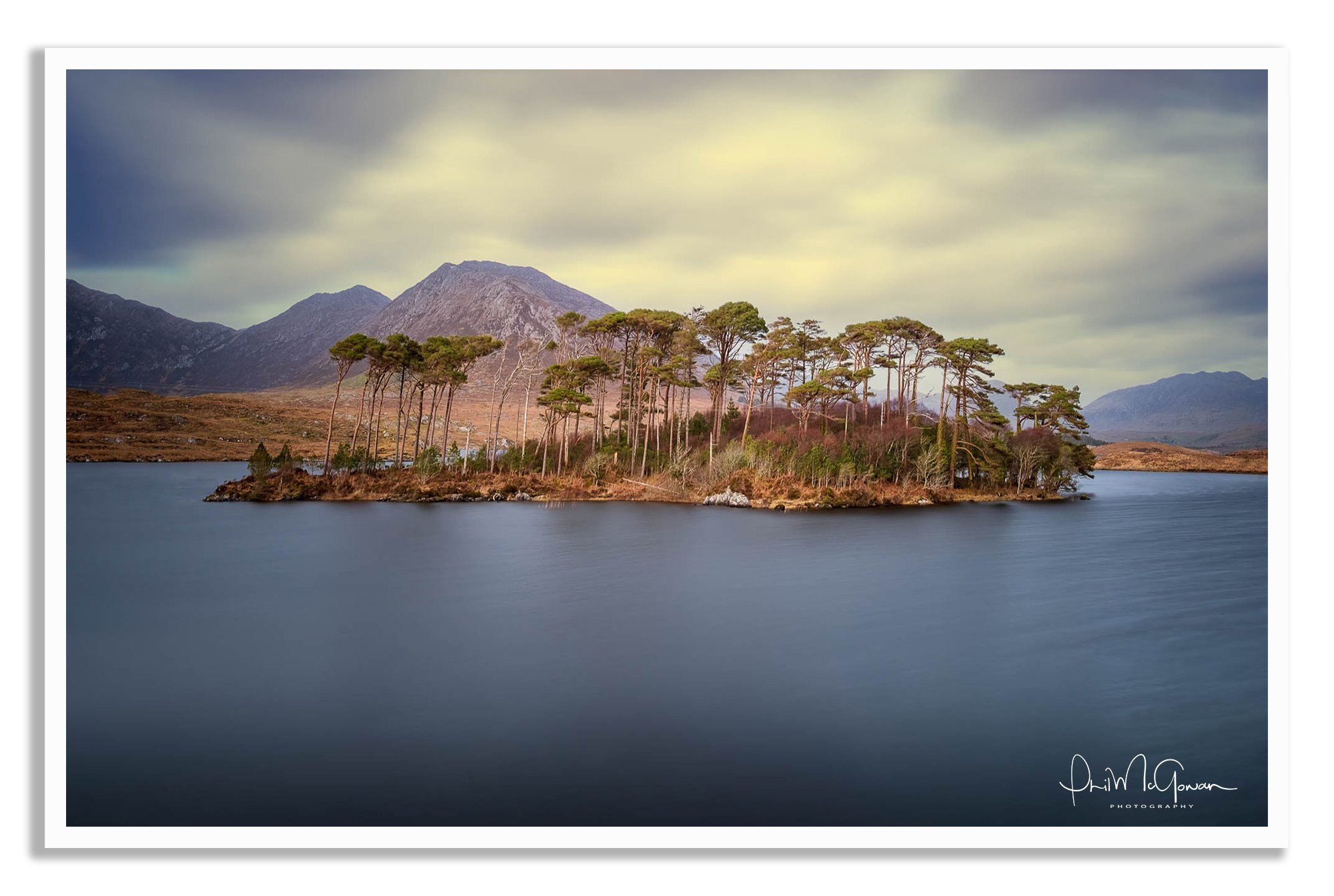 20190322-_DSF7954-2-Edit-Edit-2-Edit-100-2.jpg