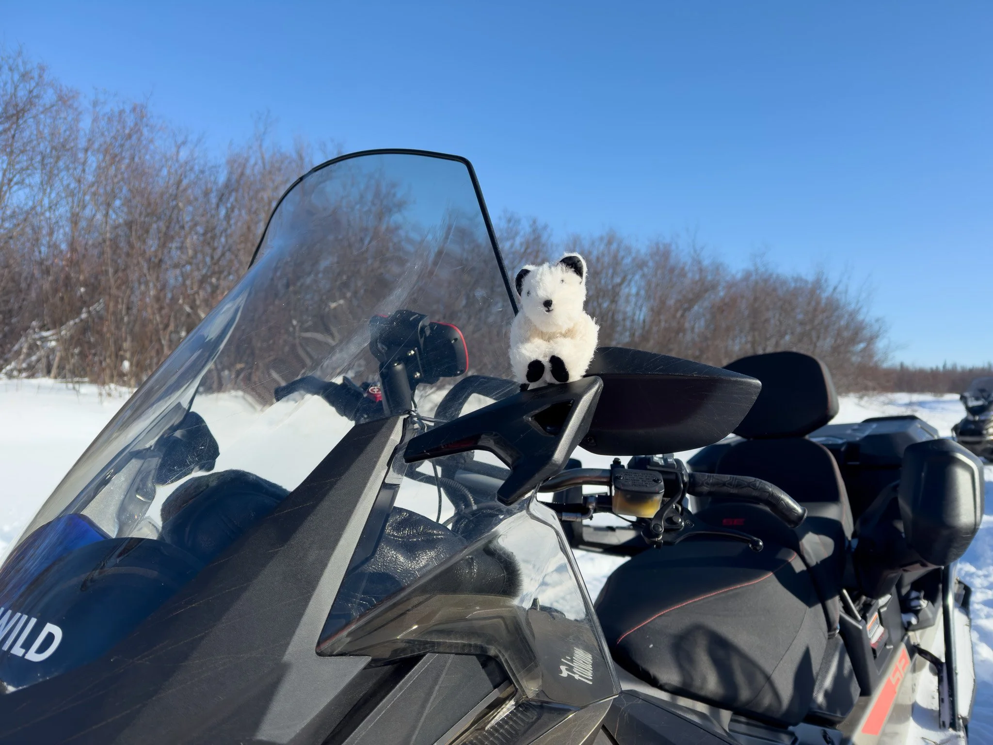 Siku Books: Behind the Scenes