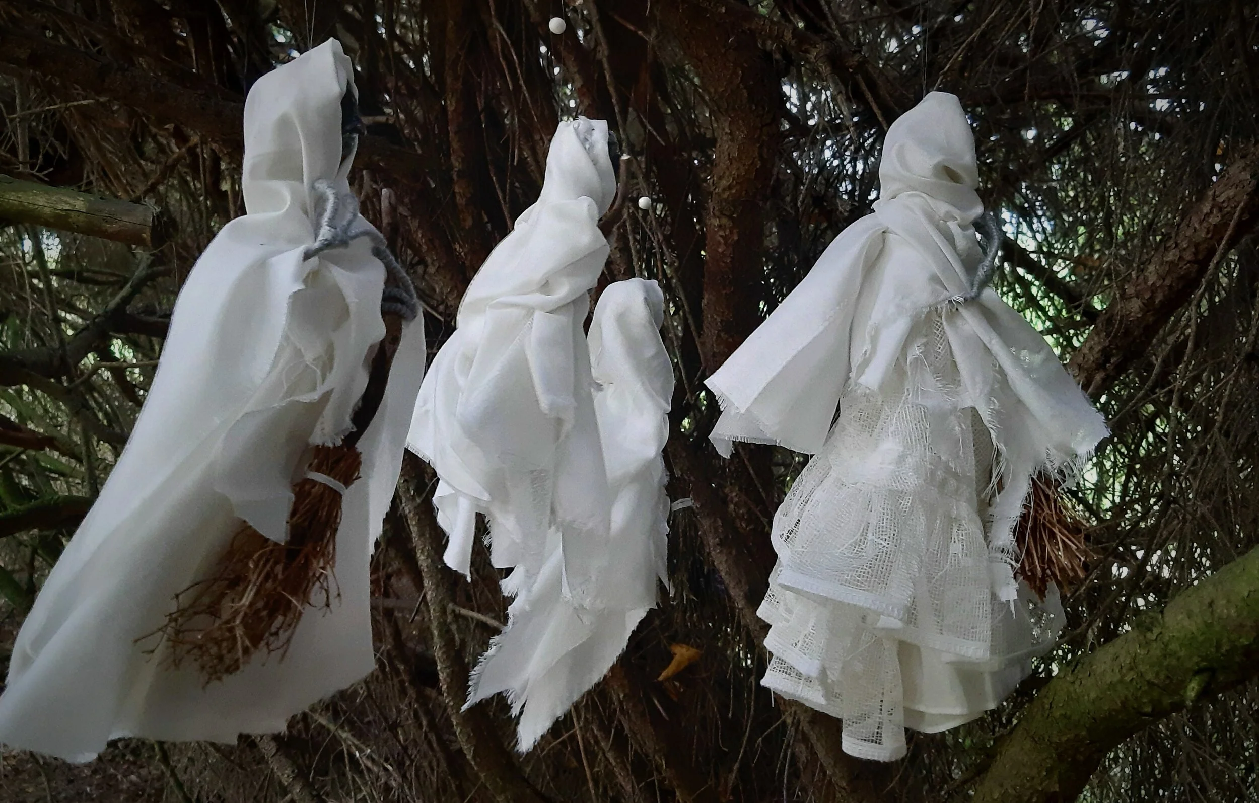 20201006_125453.jpg