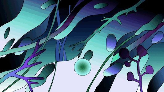 copy_A557718F-AEEA-4DA3-BDBB-908A983F8DB9.GIF