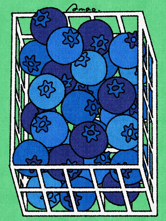 AMAO_Caper Illustration Agency _ Illustration & Animation_graphical_colourful_lineart_fun_fruit_trolley_grocery_shop_supermarket_Blueberry_540px-16F.gif