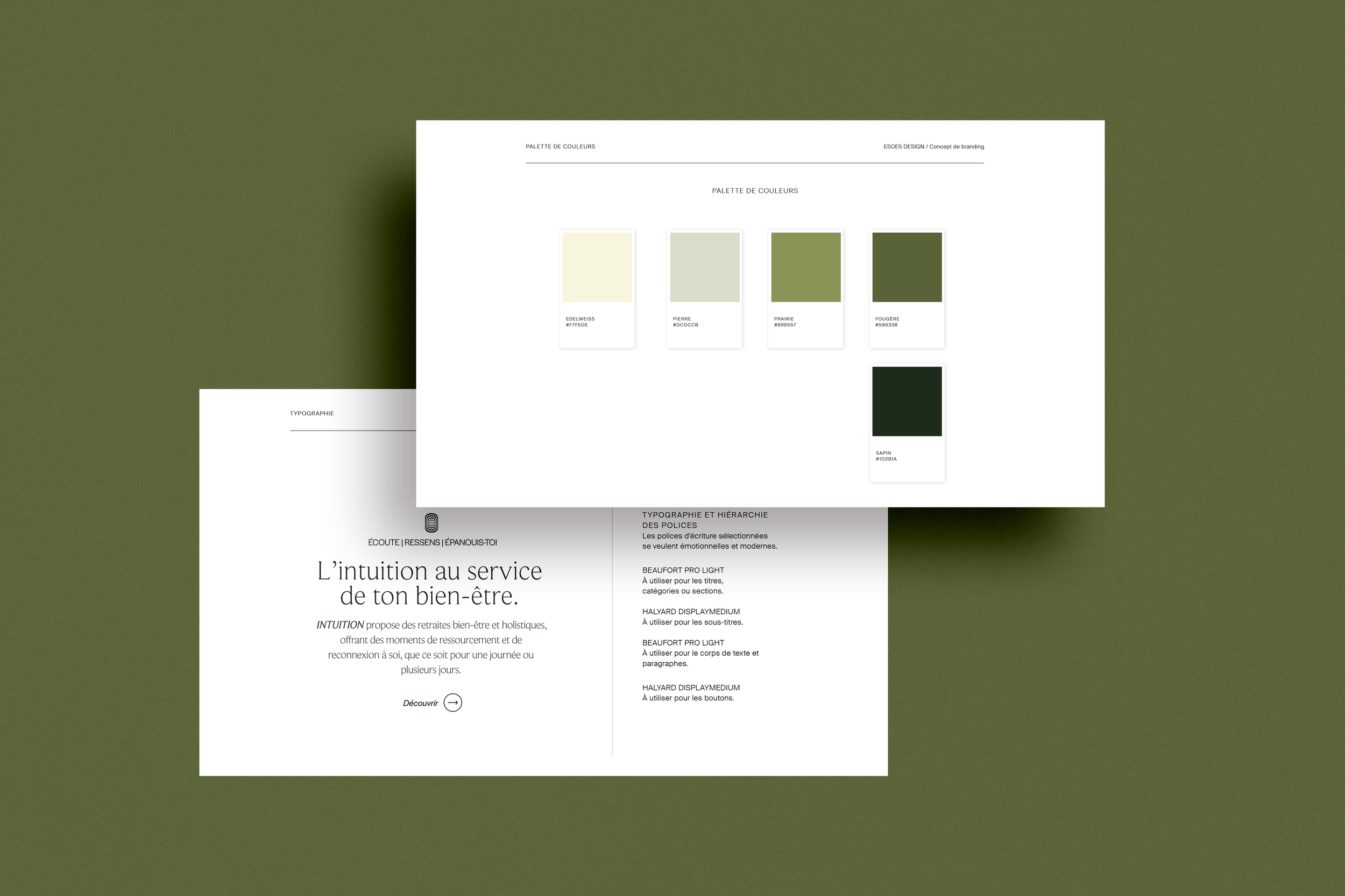 6/ Palette de couleurs et set de polices