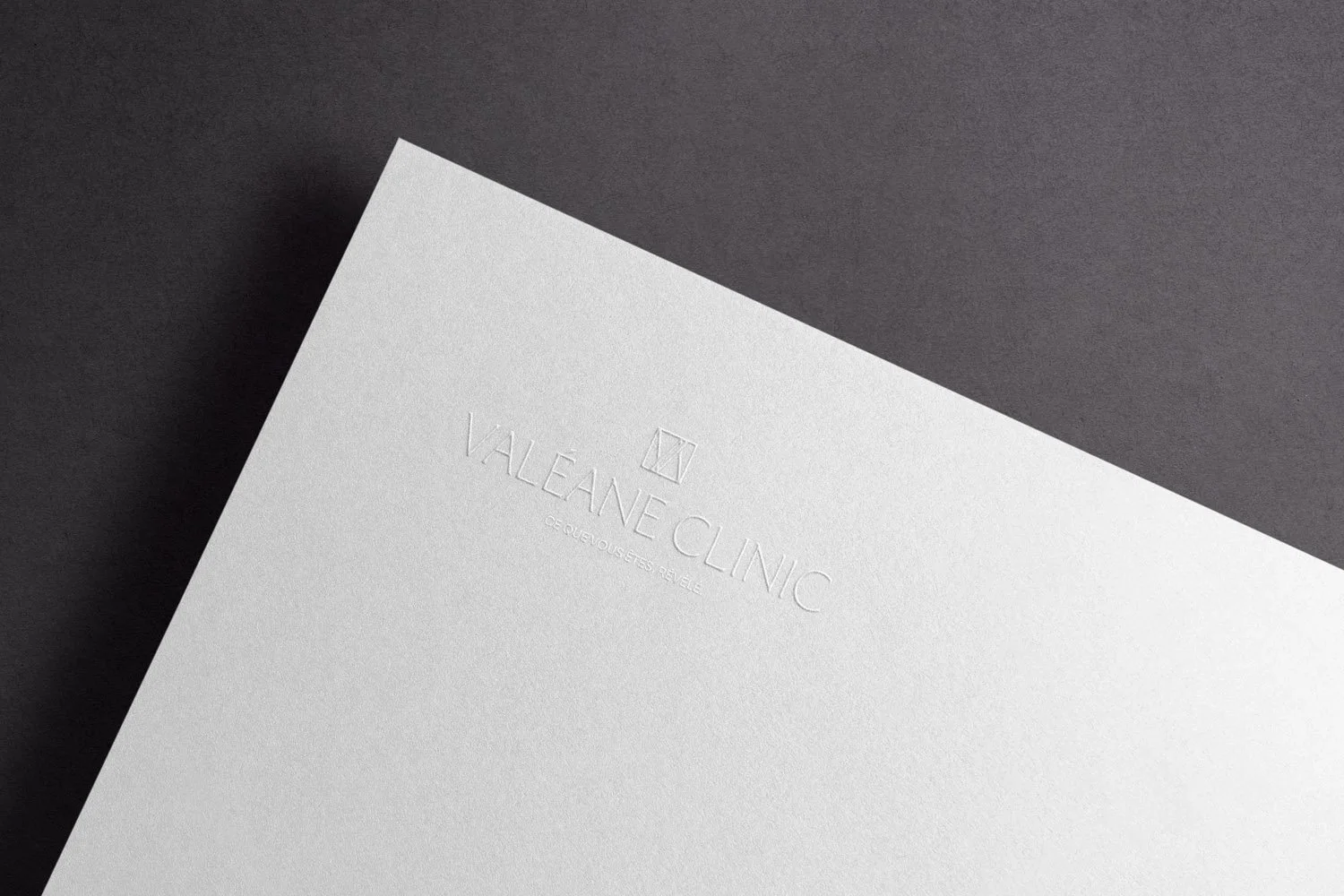 valeane_logo_paper_1.jpg