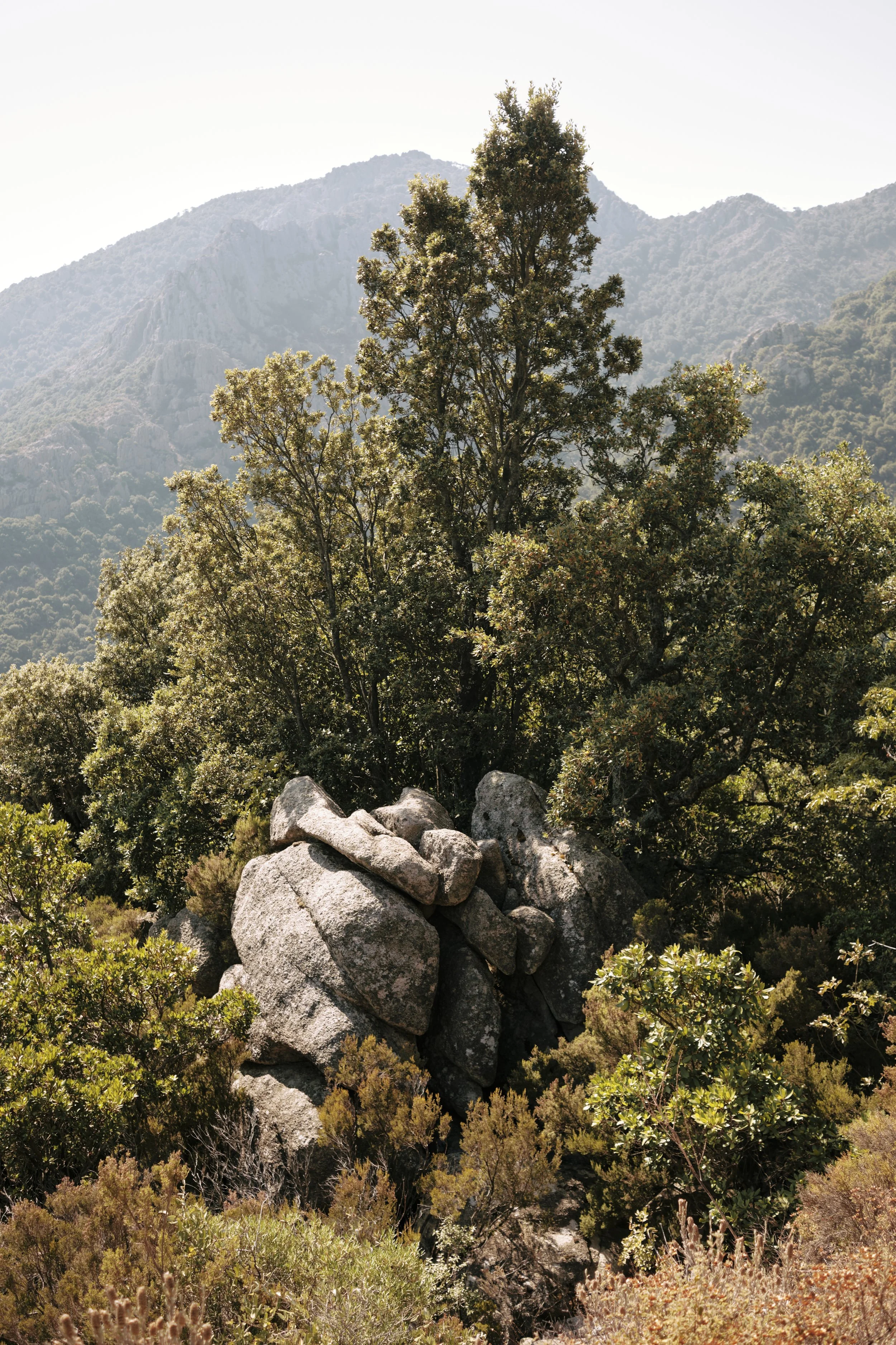 54_corsica.jpg