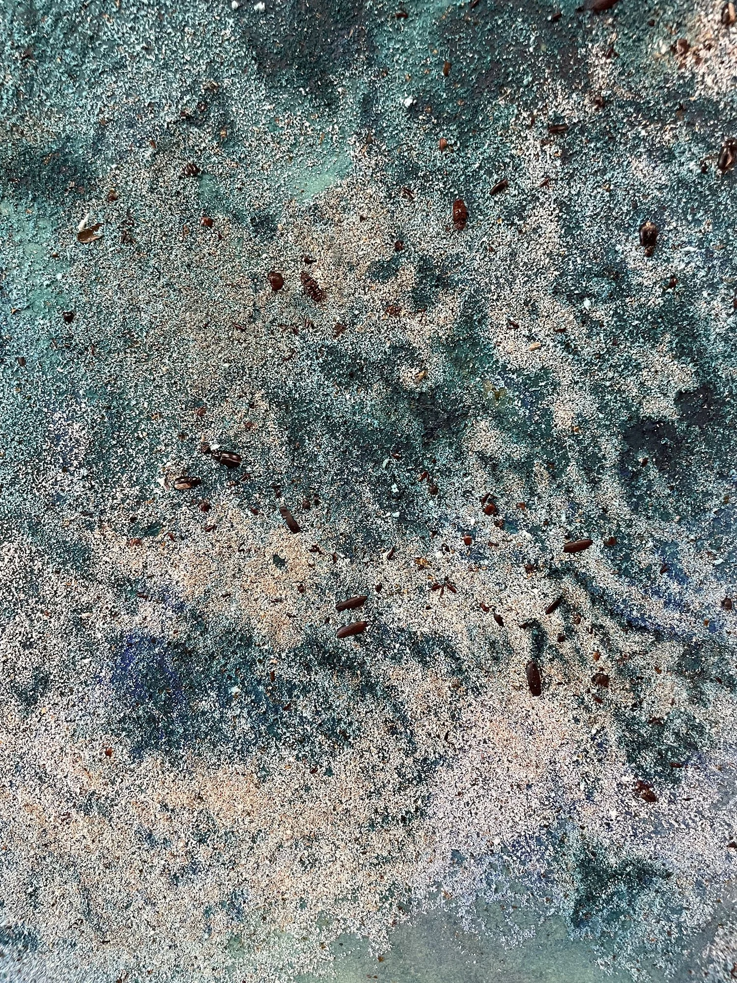 Adrift on the Floating Island (detail)