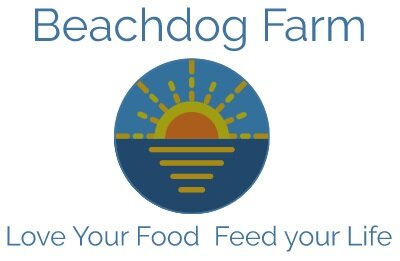 Beachdog Farm