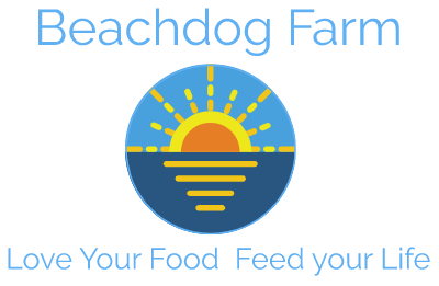 Beachdog Farm logo with sun and ocean design