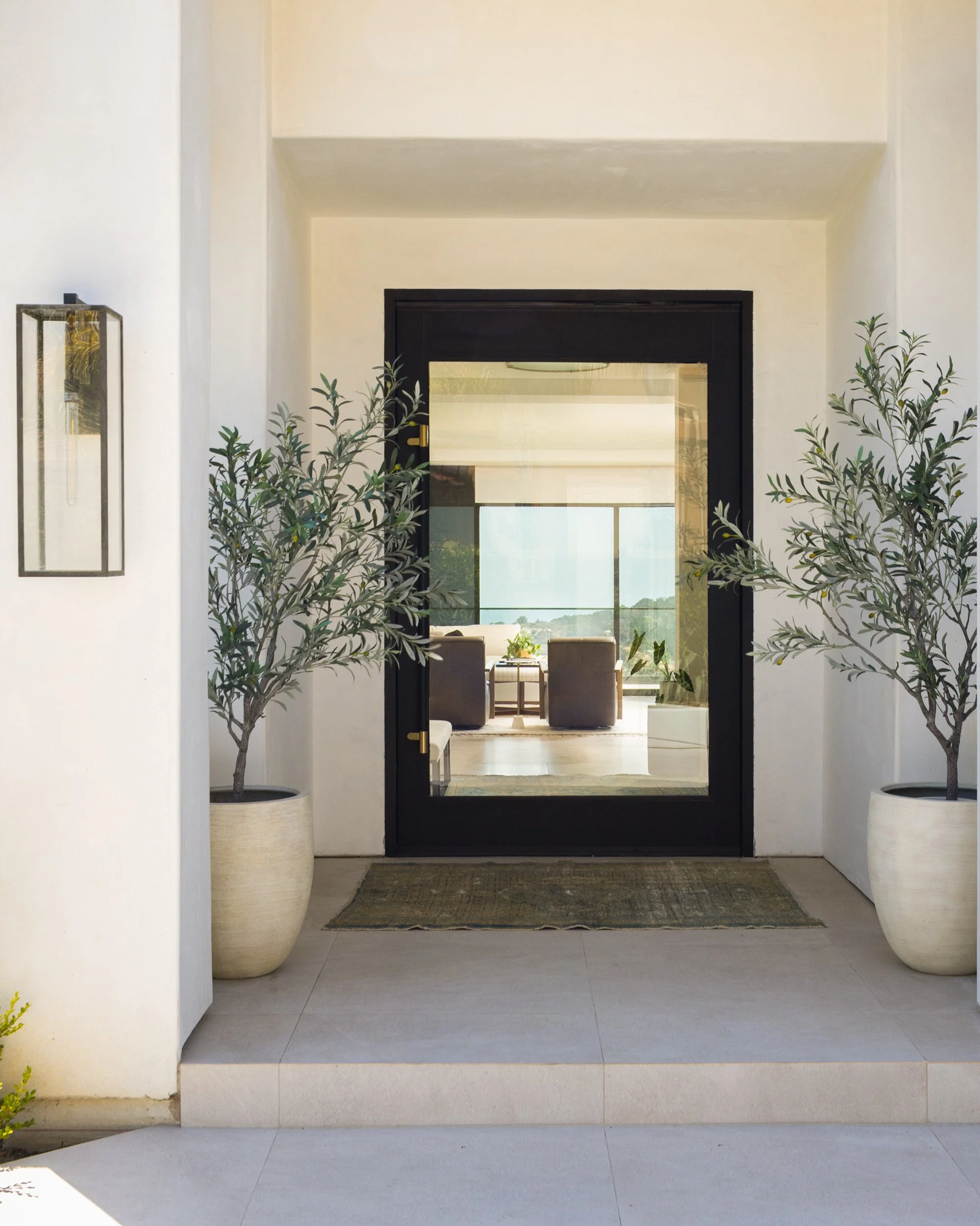 modern-front-door-san-diego-interior-design.jpg