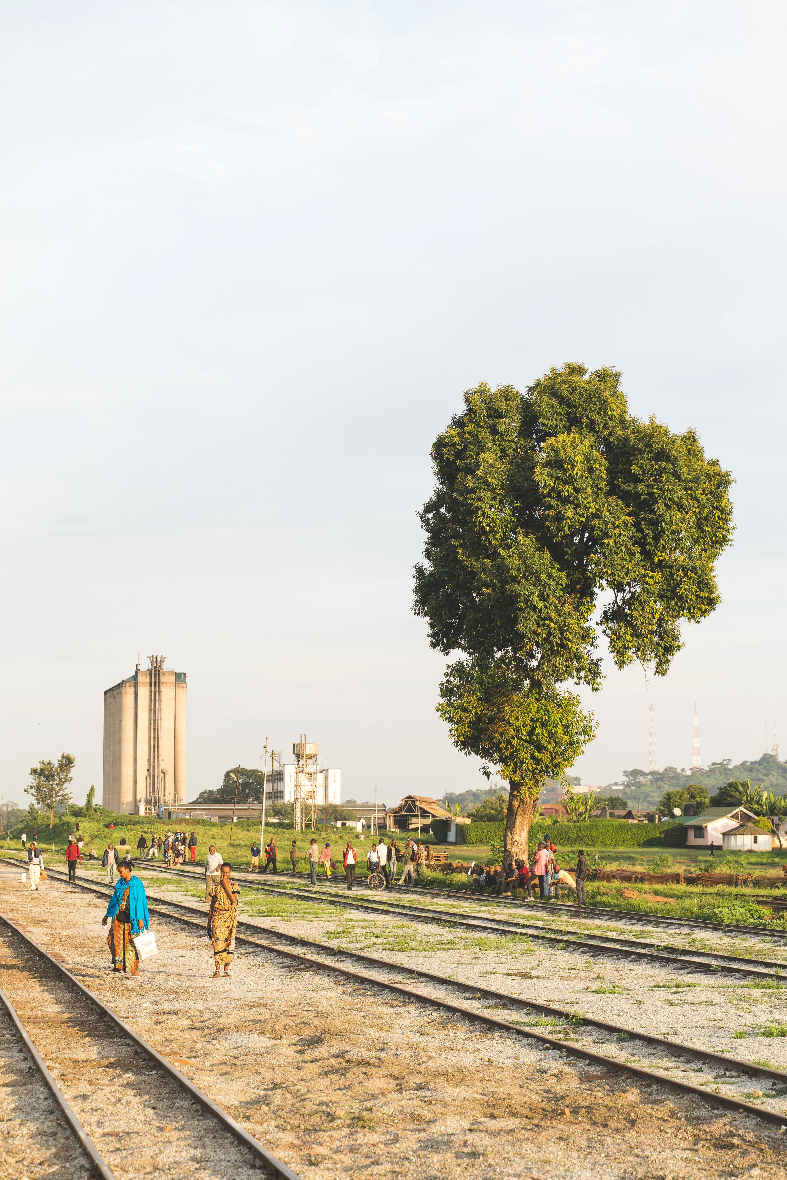 Range Rd, Arusha