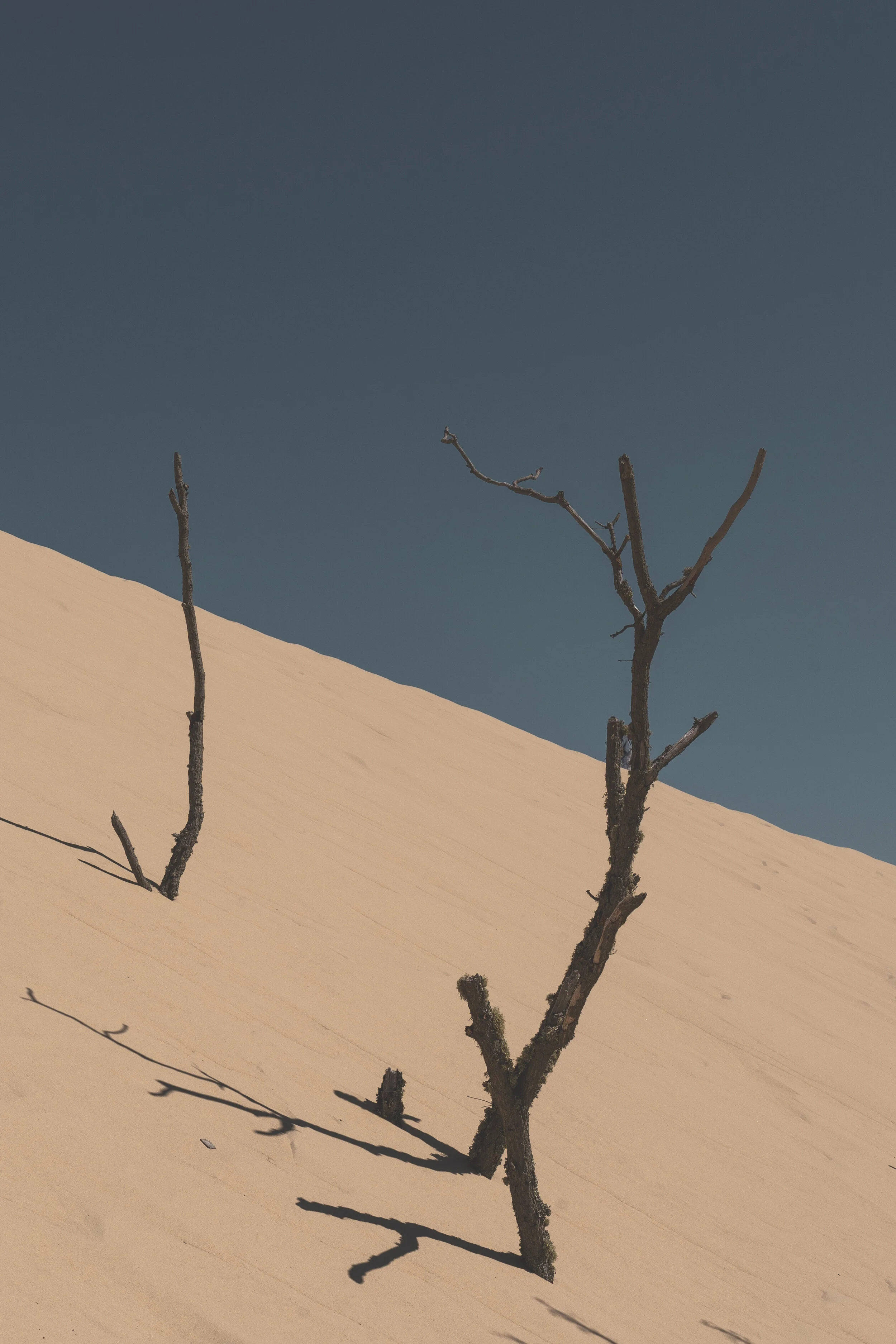 Dune du pilat, Arcachon