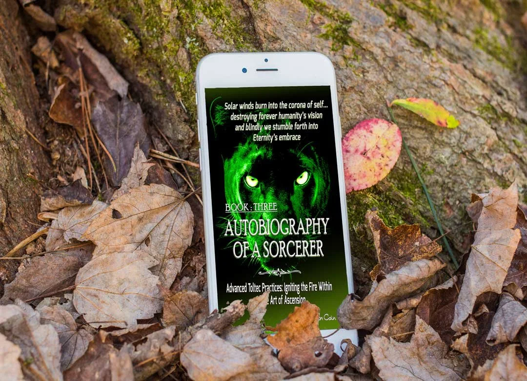 Autobiography of a Sorcerer: Book three  | eBook (PDF)