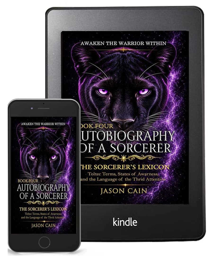 AUTOBIOGRAPHY OF A SORCERER | BOOK IV — UNDERSTAND