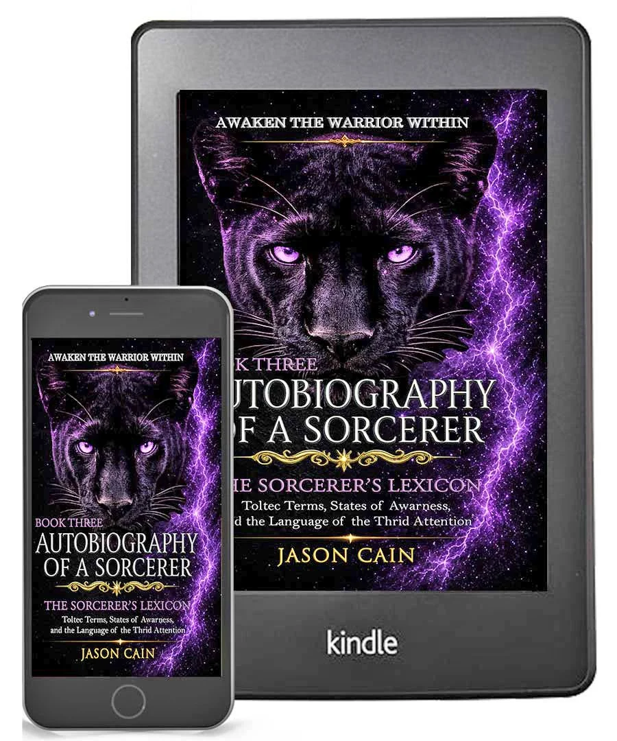 Autobiography of a Sorcerer: Book Four | eBook (Download PDF)