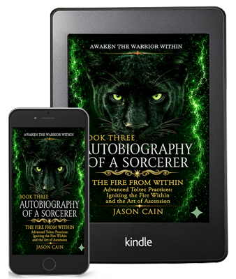 Autobiography of a Sorcerer: Book three  | eBook (PDF)