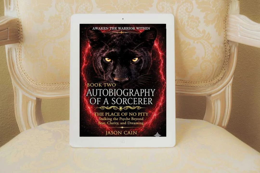 Book-2-Tablet-on-chair-1080x720.jpg