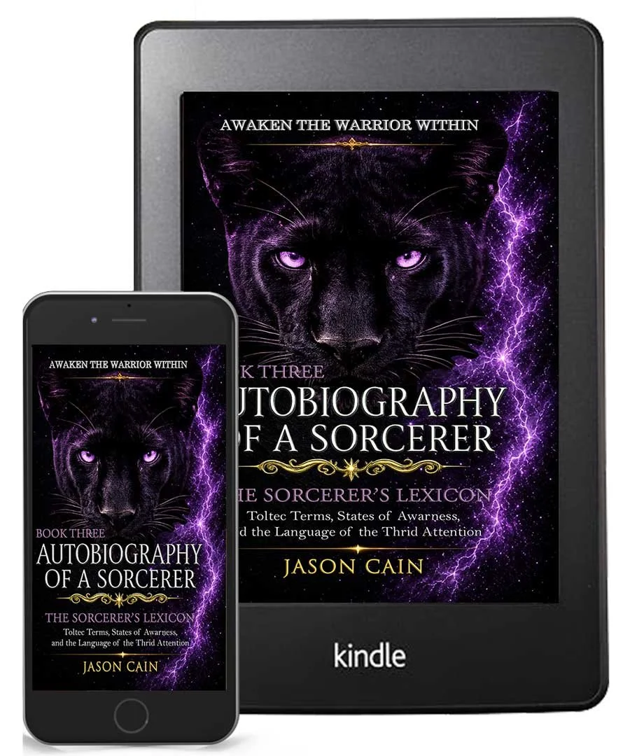 Autobiography of a Sorcerer: Book Four | eBook (Download PDF)