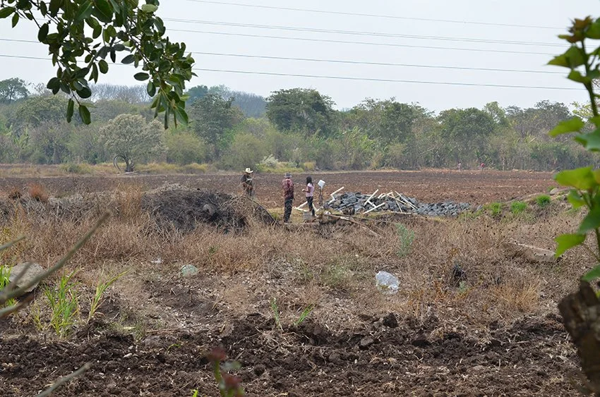 CATIE Reinforces its Contributions in the Fight Against Land Degradation