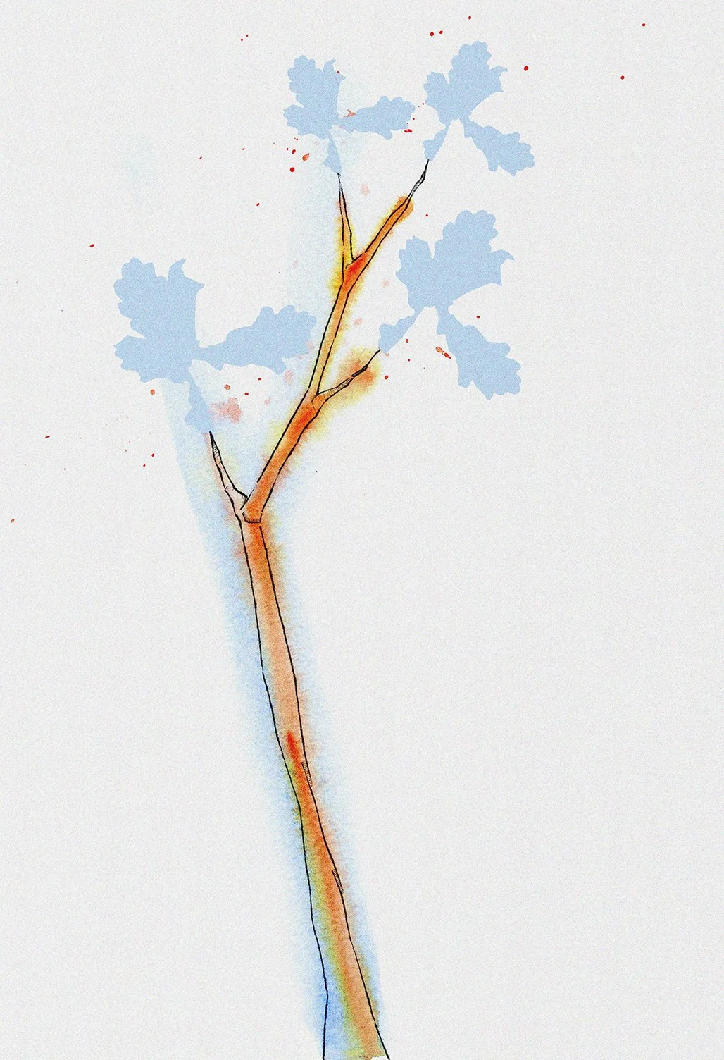 robbie brewster illustrator 71.jpg