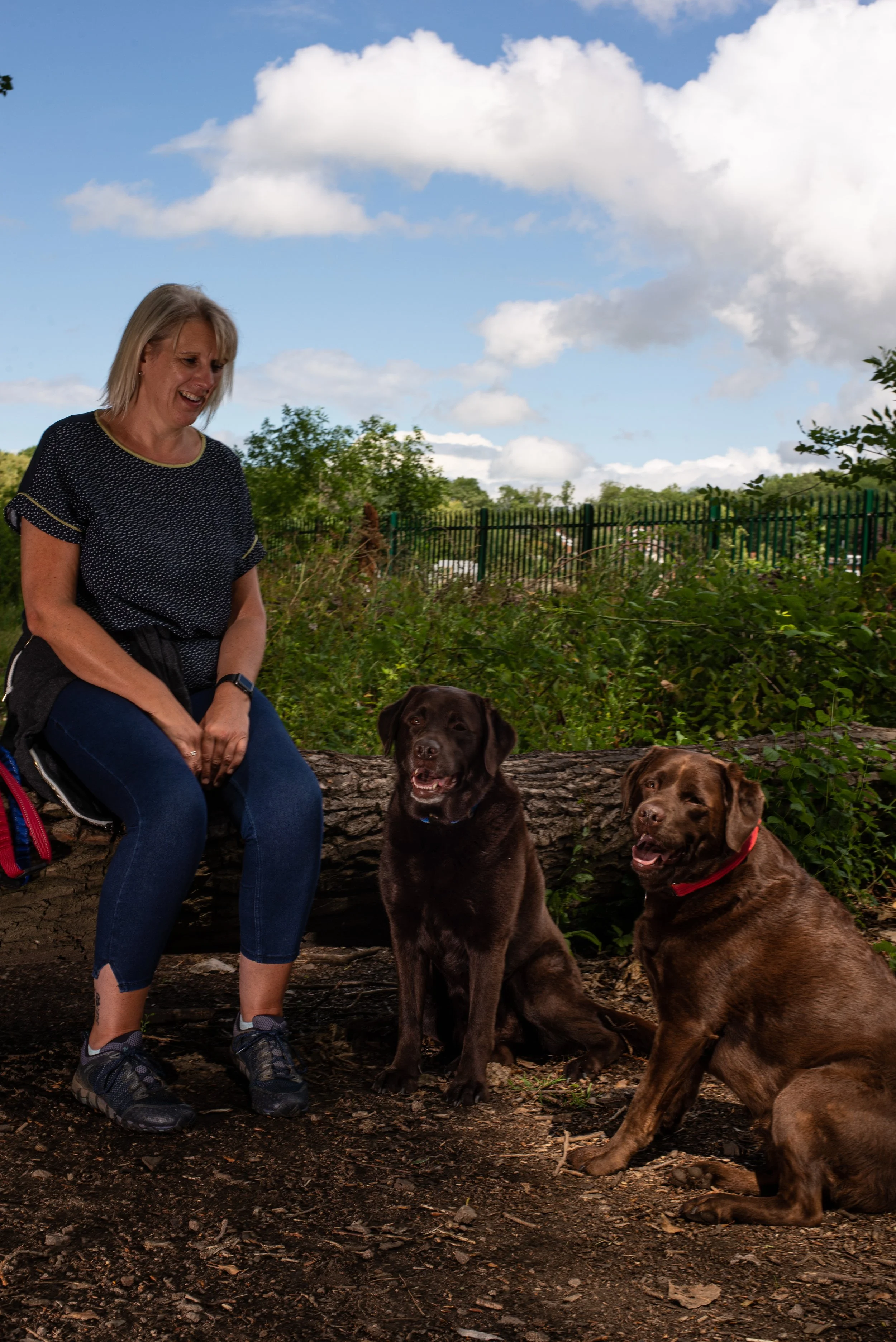 A woman with two chocolate Labrador retrievers sitting on a dirt path outdoors with trees, bushes, and a green fence in the background, under a blue sky with white clouds.