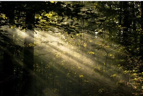 threads of light.jpg