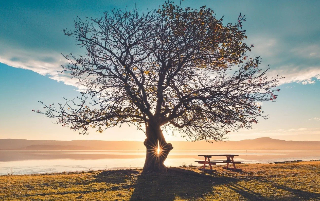 Restoring the Golden Thread: Walking with Light into Healing, Wholeness, and Resilience