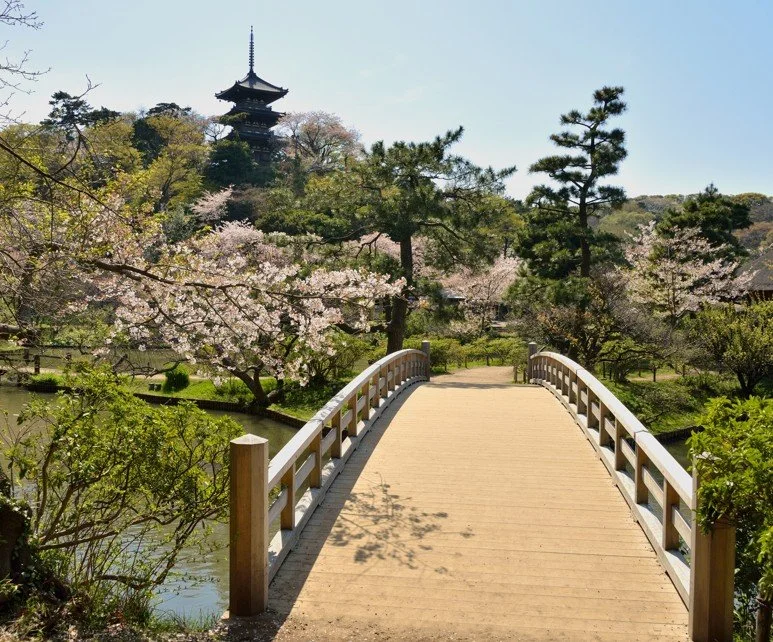 Cosmic Ocean Field Opening — Live Group Session 