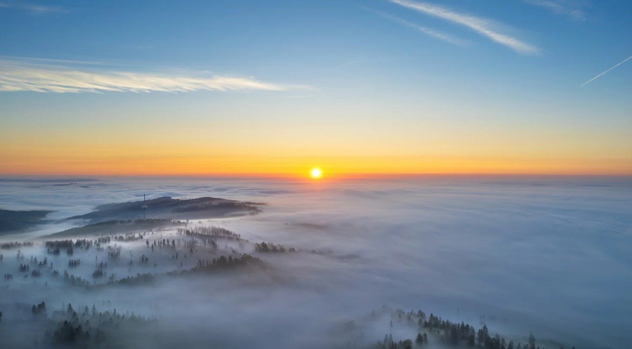 On Intelligence Through Form