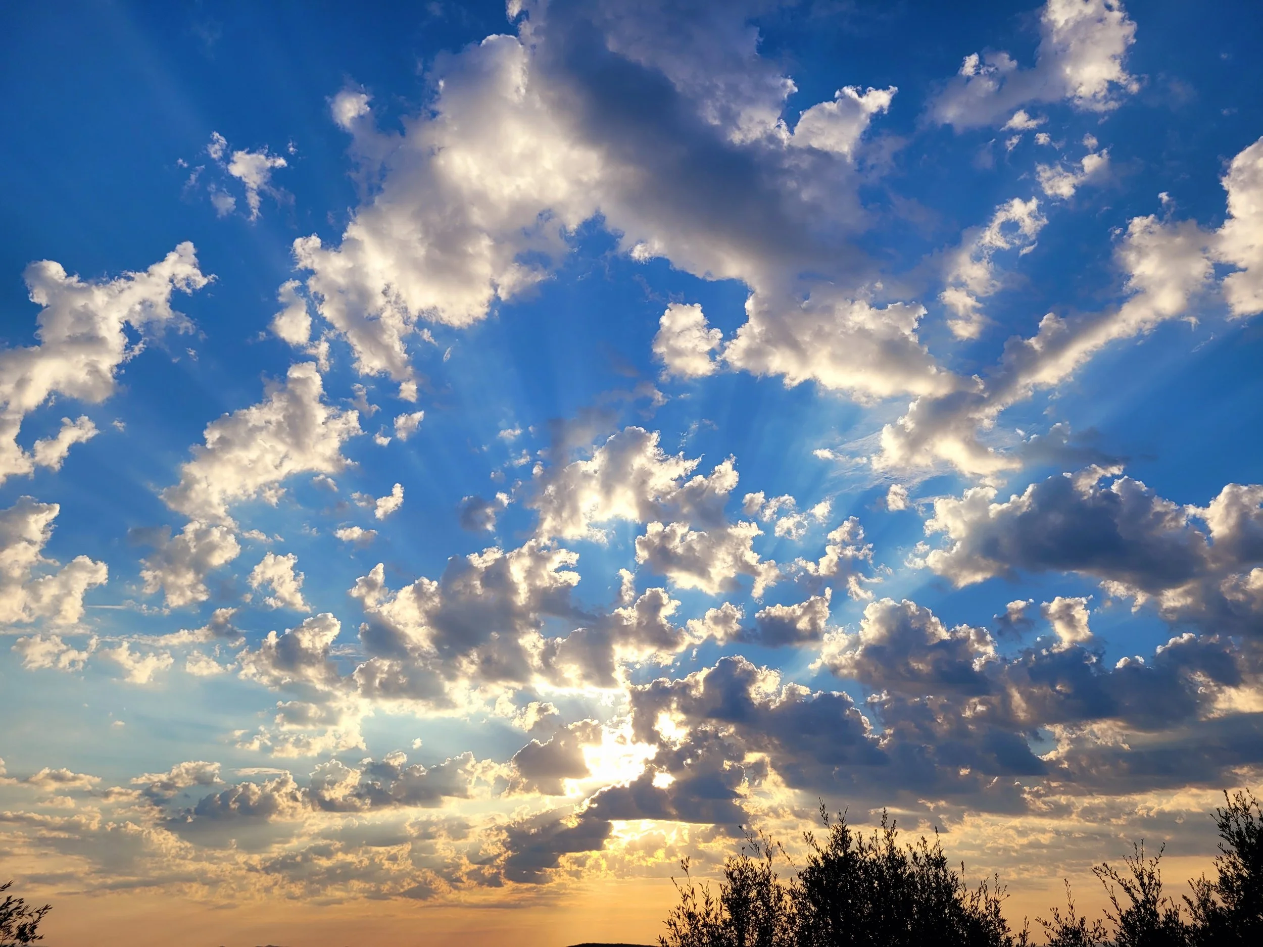 The Field Attunement Library is Open