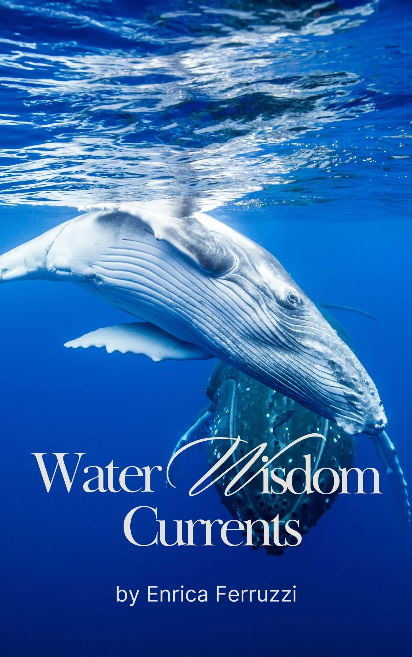 water wisdom currents transmission