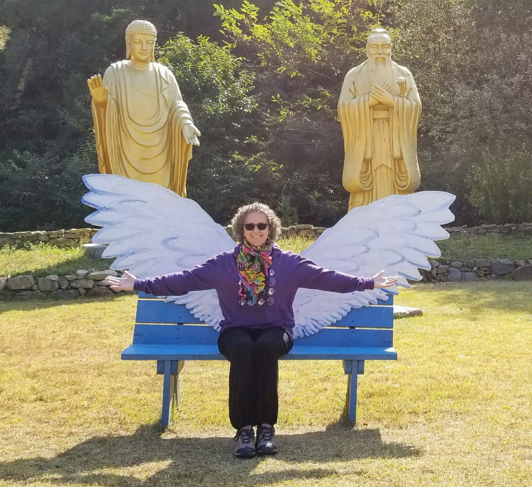 mywings.jpg