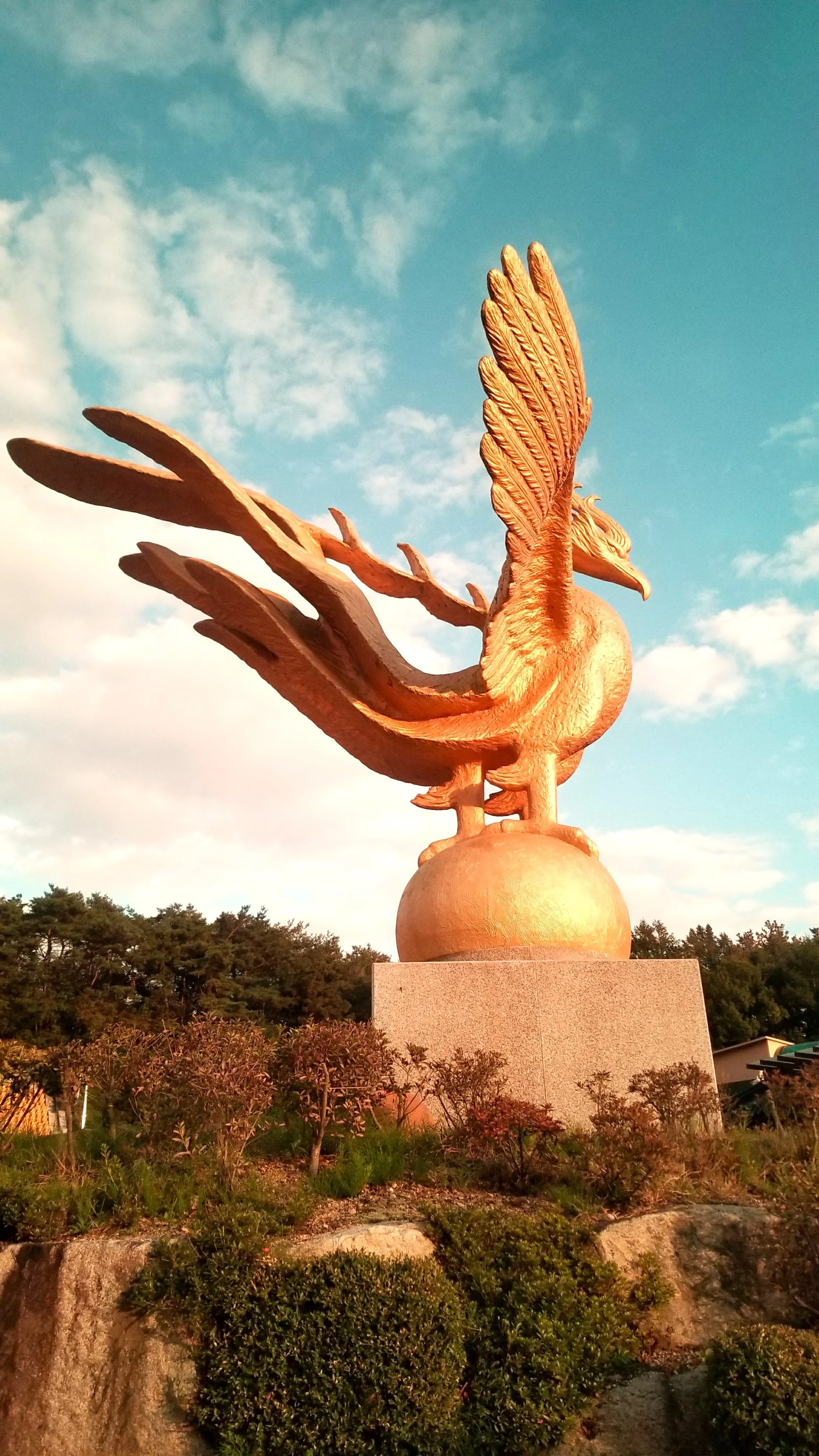 20171019_165847.jpg