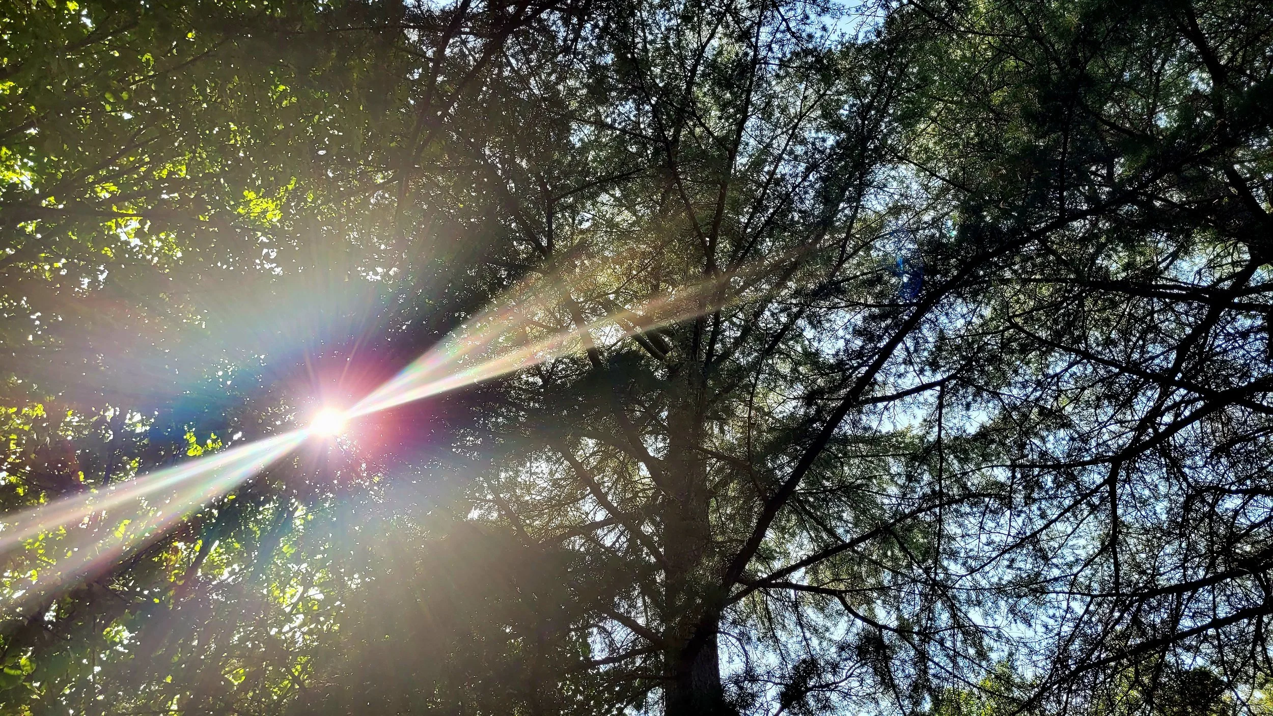 Restoring Trust Within