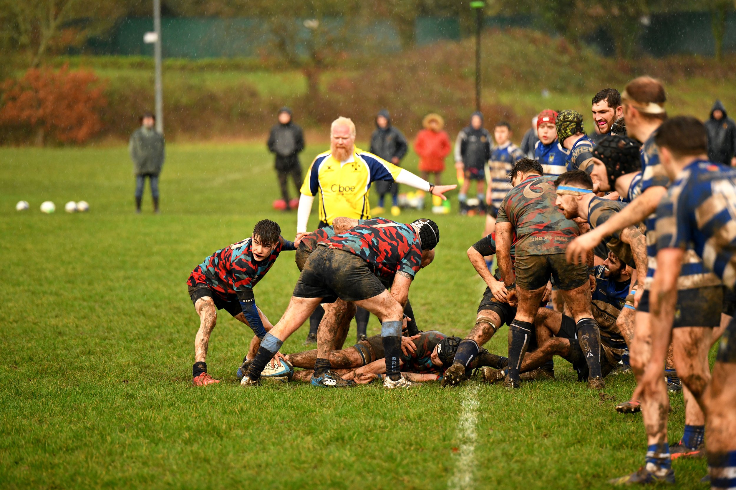 DSC_3251 copy.jpg