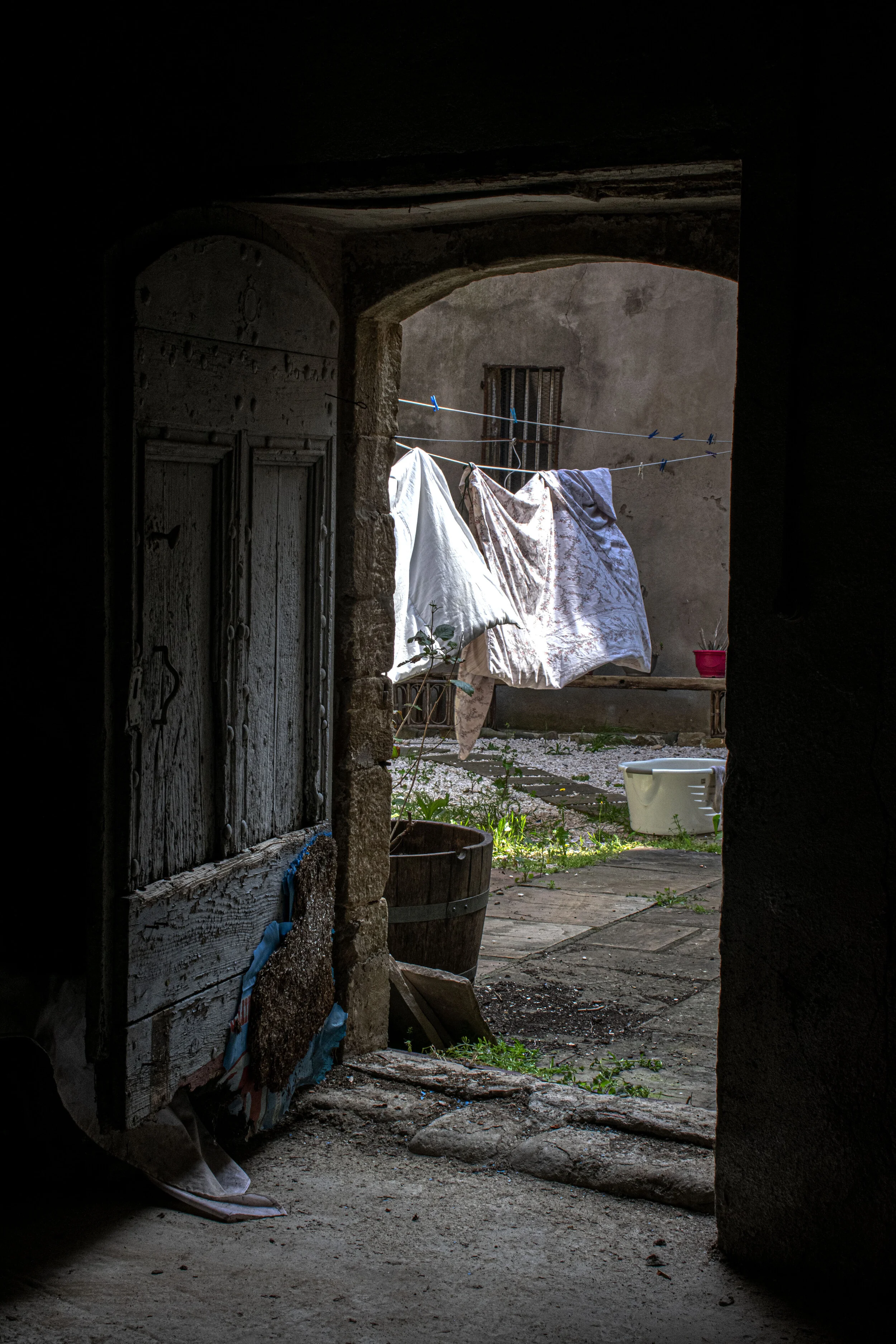 DSC_0591.jpg