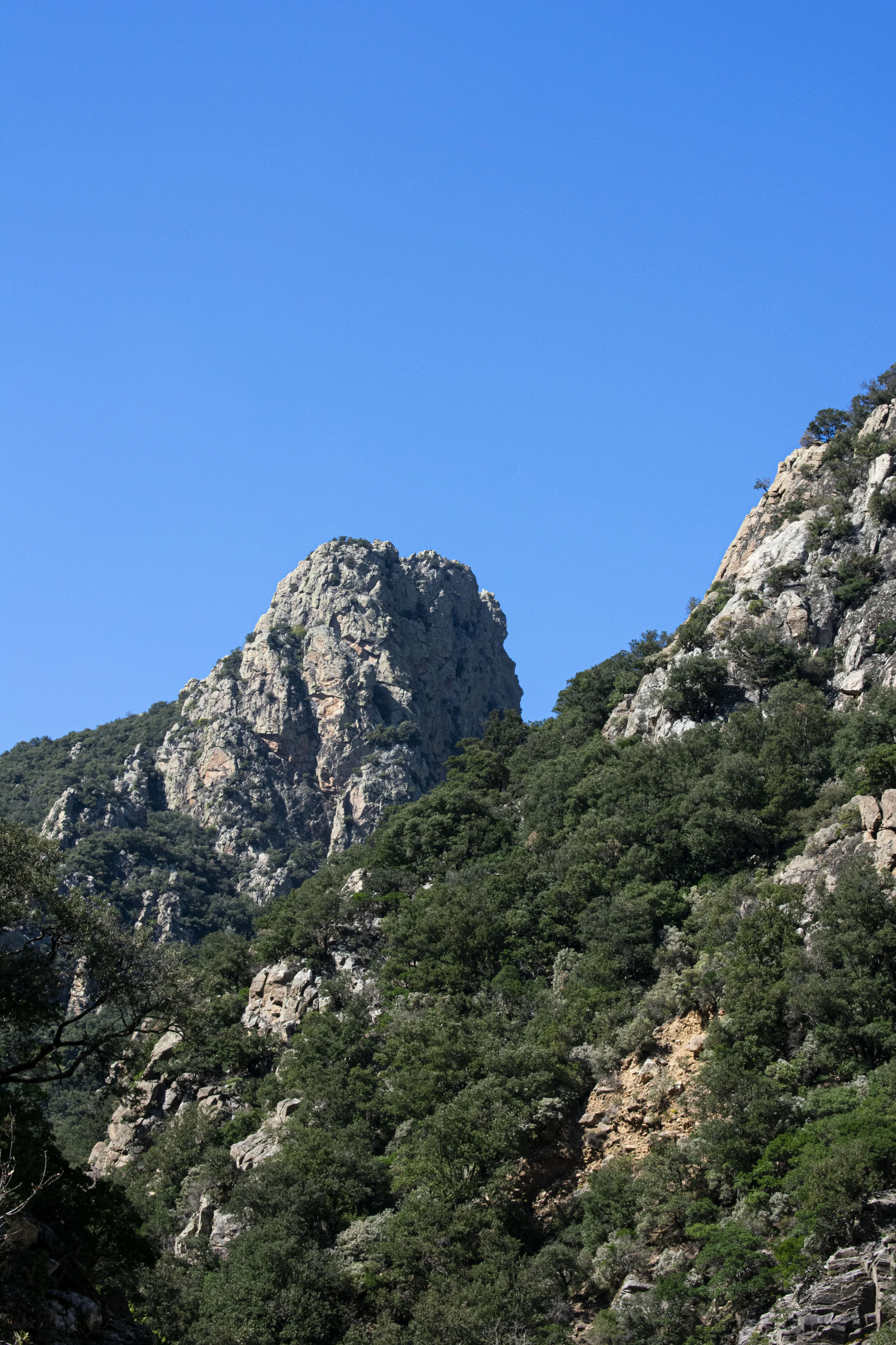 DSC_0674.jpg
