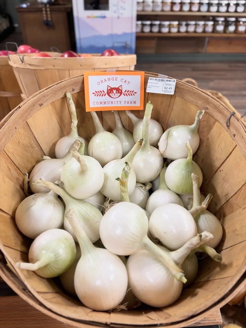 onions.jpg