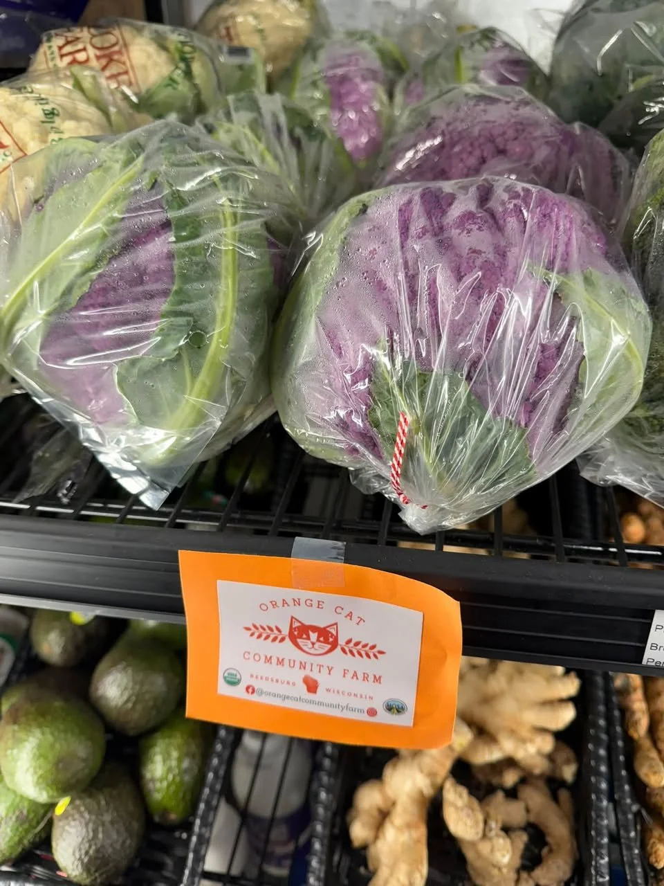 organics2.jpg