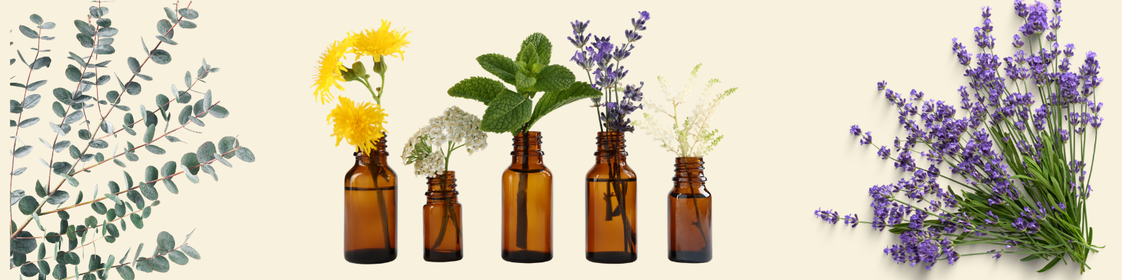Arrangement of five amber glass bottles with different fresh flowers and leaves, flanked by eucalyptus leaves on the left and lavender sprigs on the right.