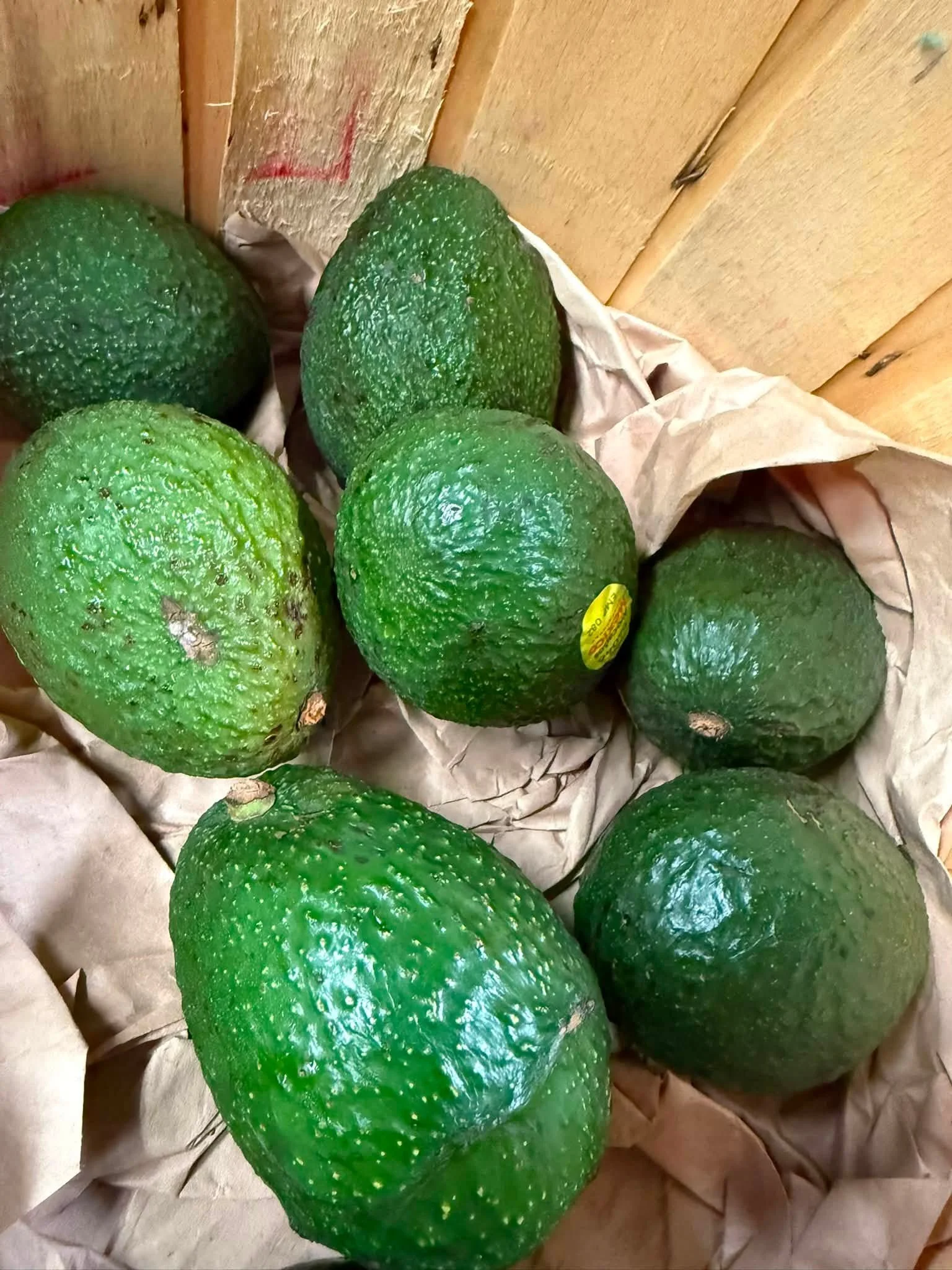 A group of avocados with rough, green skin, placed on paper lining inside a wooden crate.
