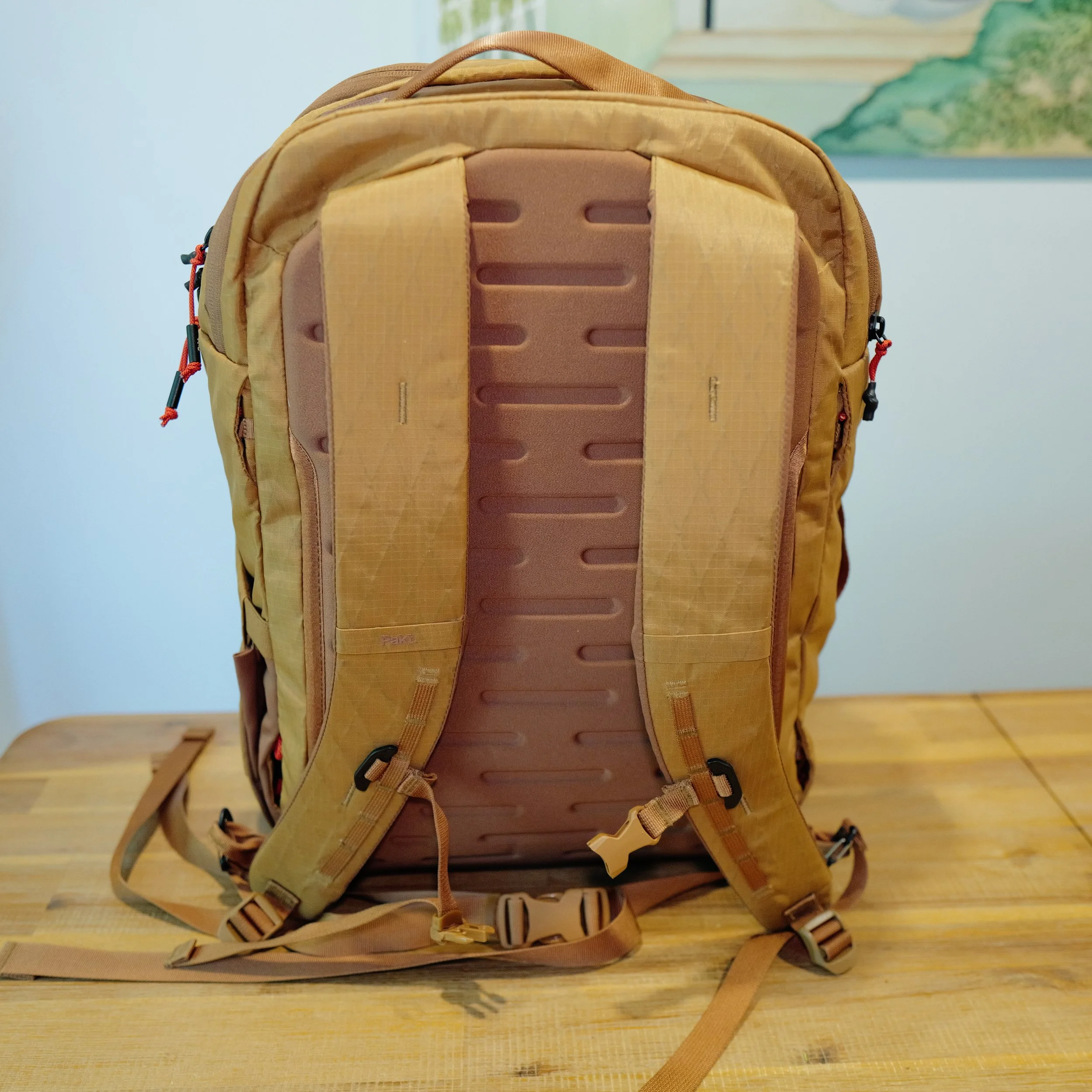 Pakt Cero review harness system