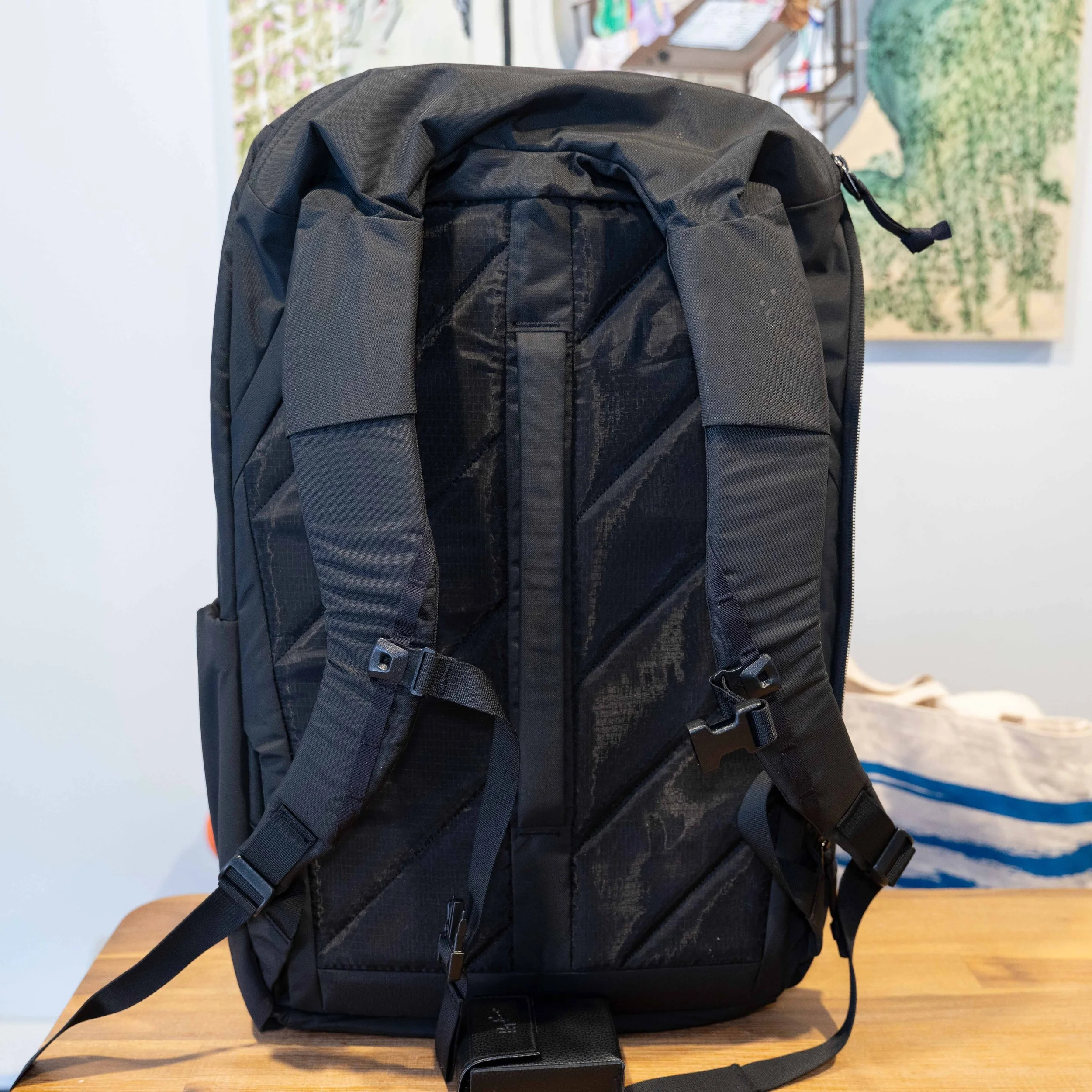 CTB35 review harness system