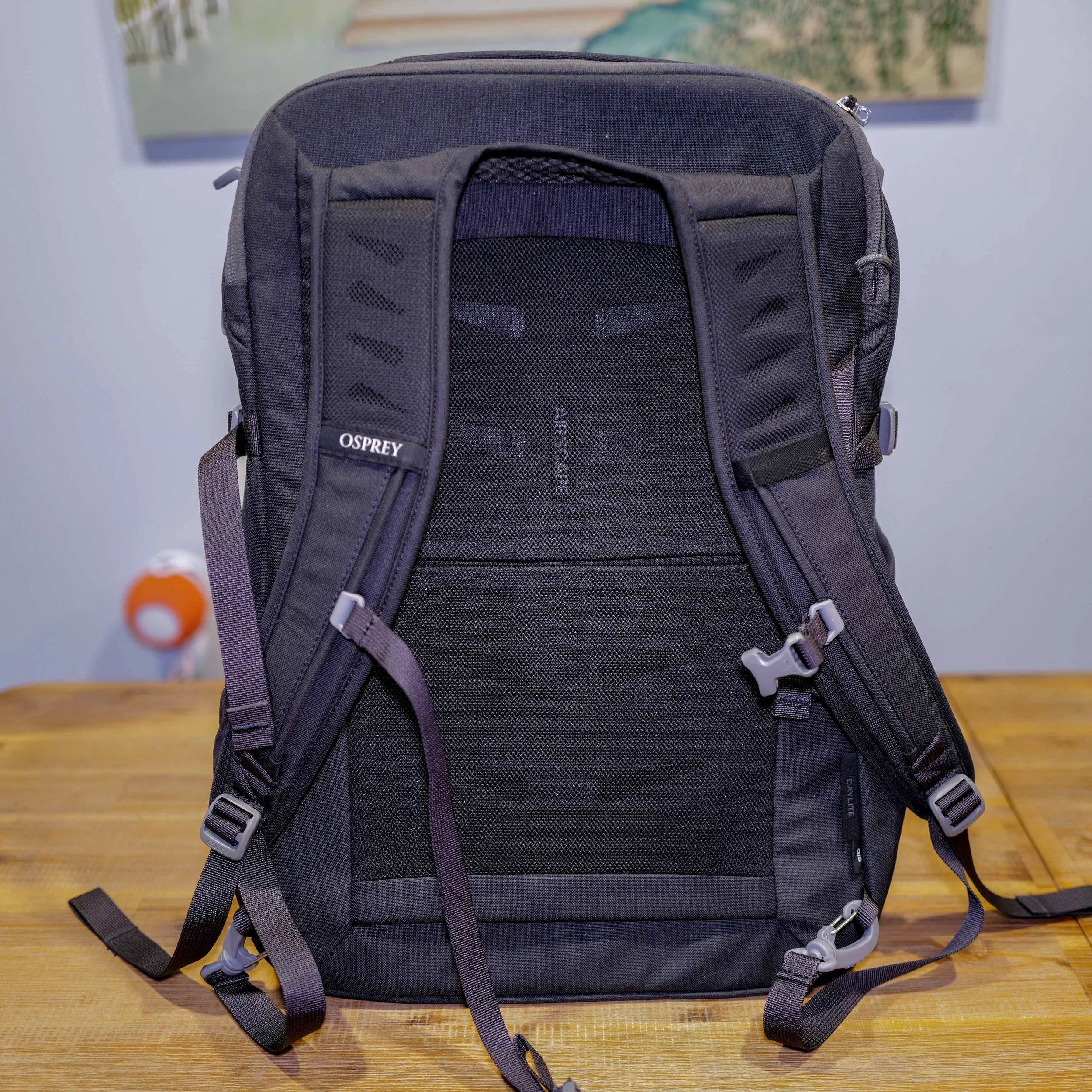 DayLite Carry-On 35l review harness system