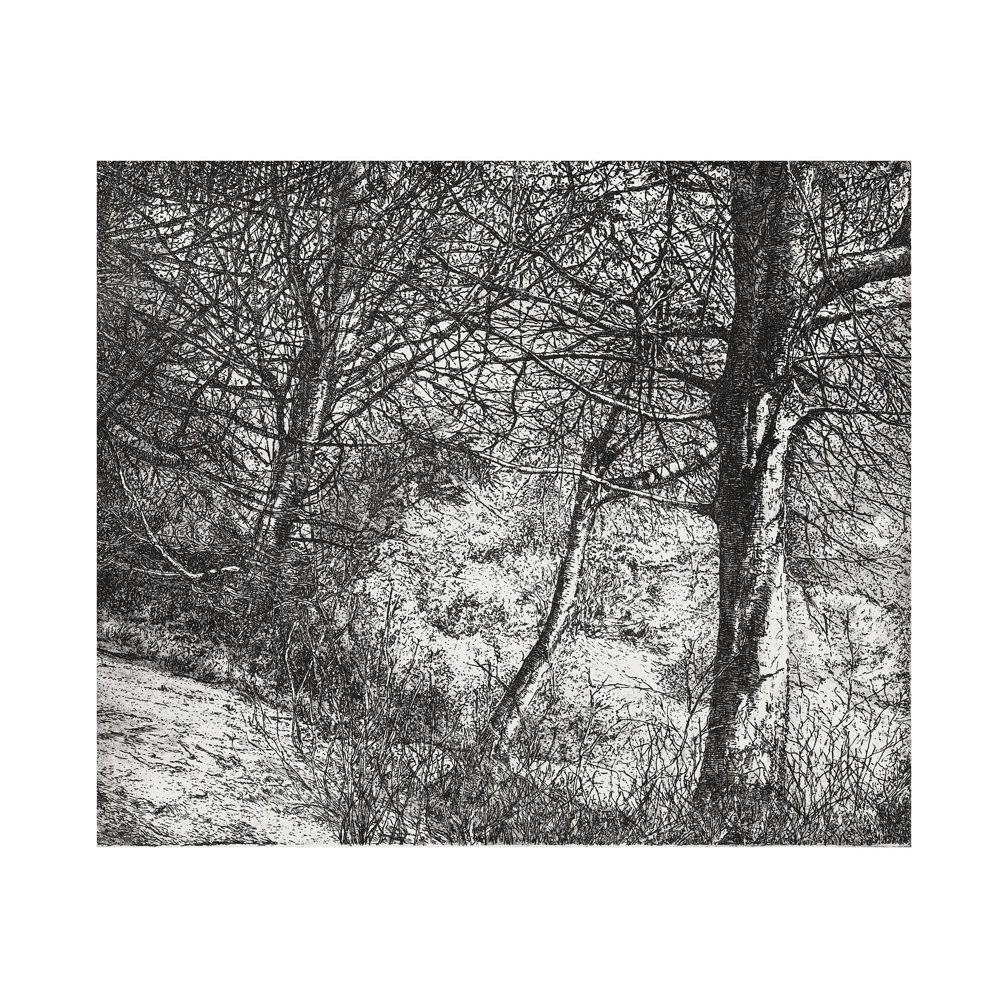 John-Howard_Print-Maker_Cornwall-Series_17-1.jpg